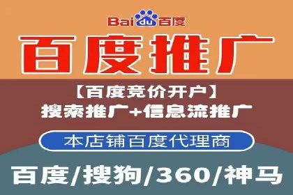 某电商平台SEM竞价广告的转化率提升案例